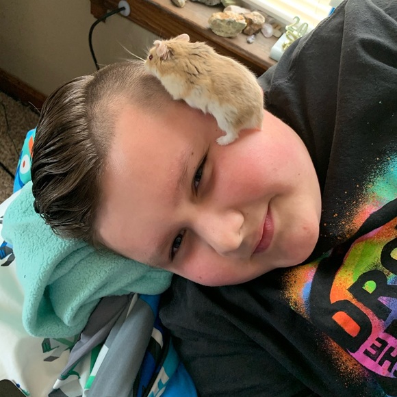 Meet your Posher, KrystalsCurios - Picture 2 of 3